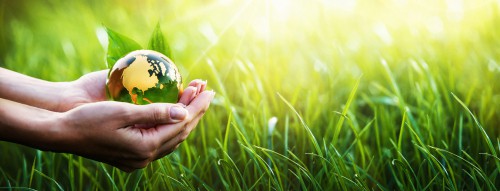 Conservation Grants to research and generate local solutions to environmental problems