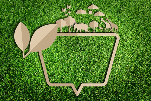 Capacity-building Grant in the field of Conservation