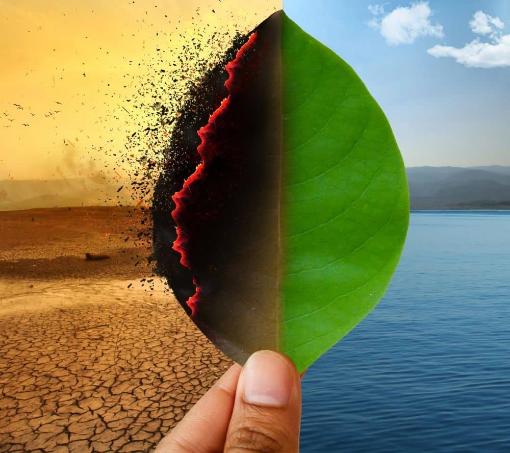 European Commission: Climate Change Mitigation Programme